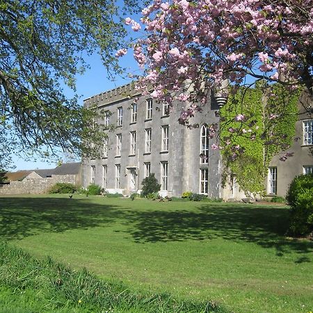 Ash Hill B & B Kilmallock Esterno foto