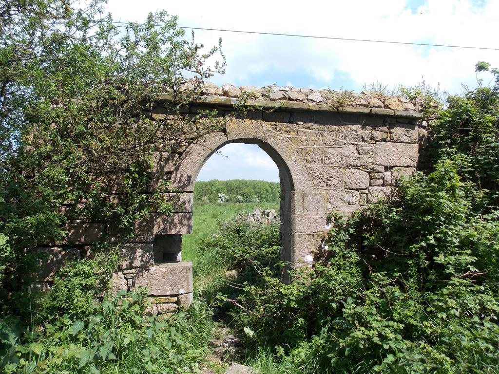 Ash Hill B & B Kilmallock Esterno foto