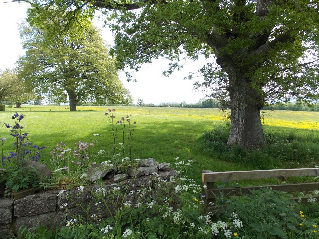 Ash Hill B & B Kilmallock Camera foto