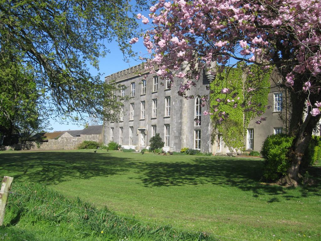 Ash Hill B & B Kilmallock Esterno foto