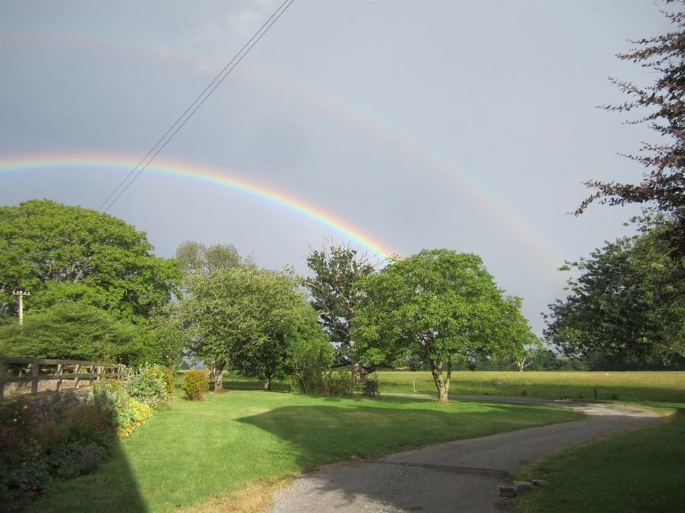 Ash Hill B & B Kilmallock Esterno foto