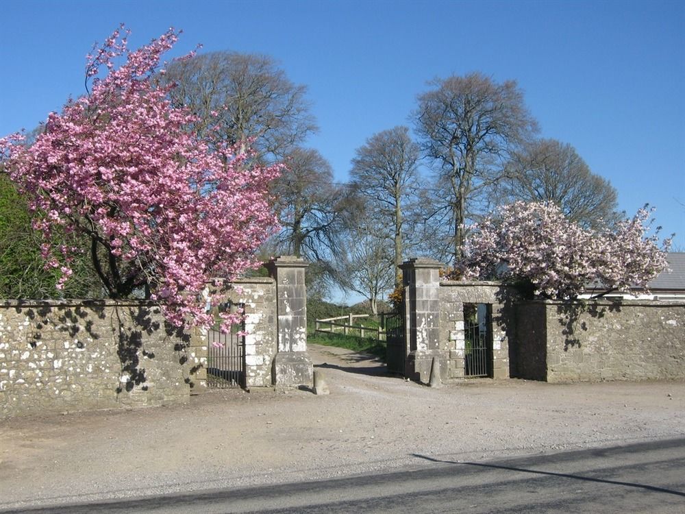 Ash Hill B & B Kilmallock Esterno foto